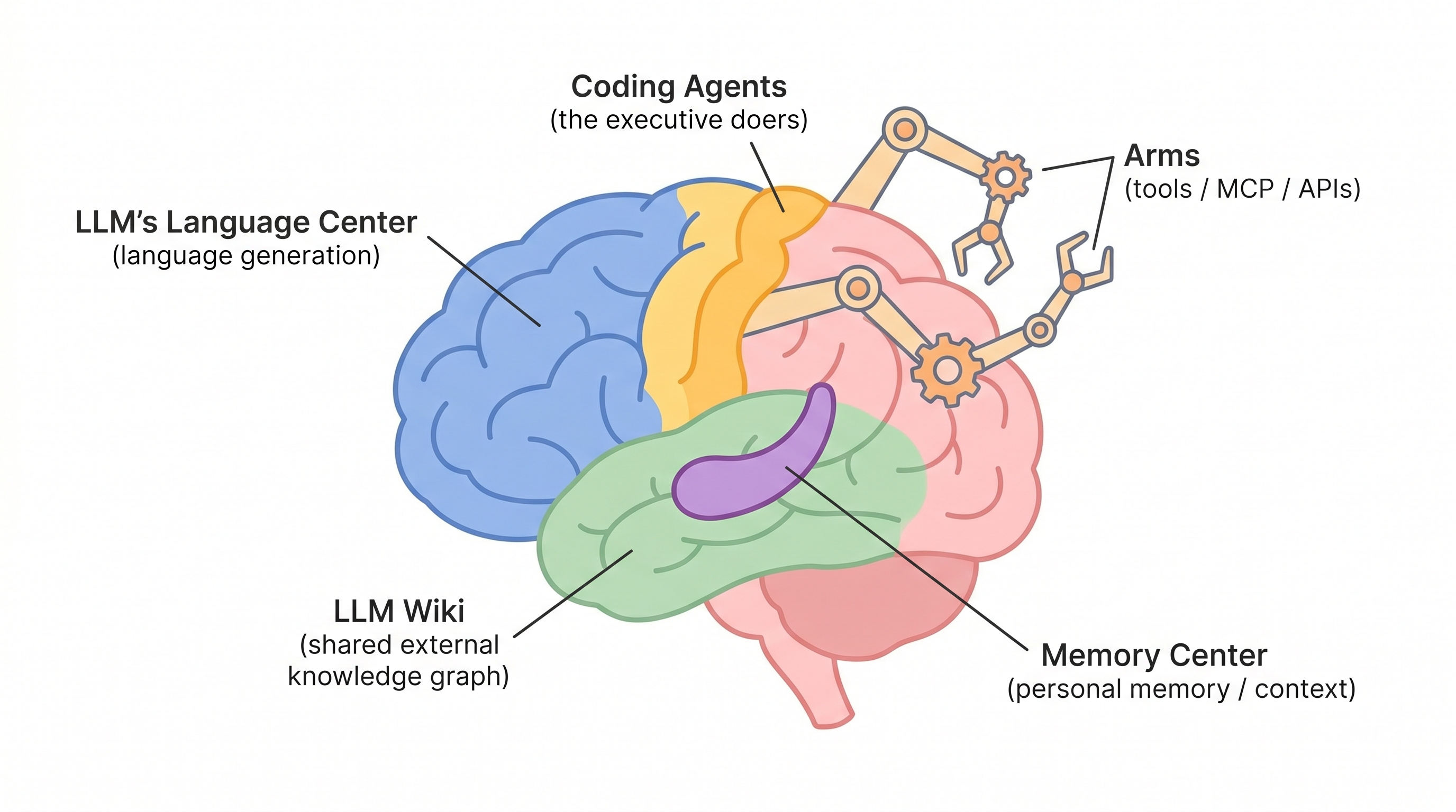 Diagram of a brain labeled with AI components: LLM's Language Center, Coding Agents, Arms (tools/MCP/APIs), LLM Wiki, and Memory Center.